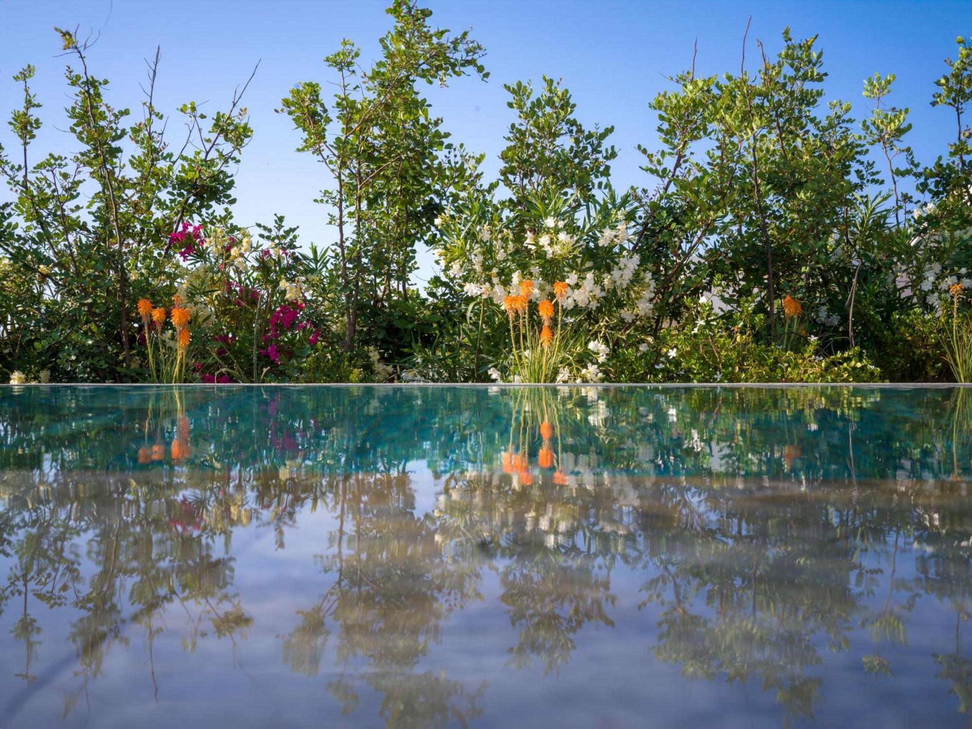 Hotel Nous Santorini Mesaria Zewnętrze zdjęcie